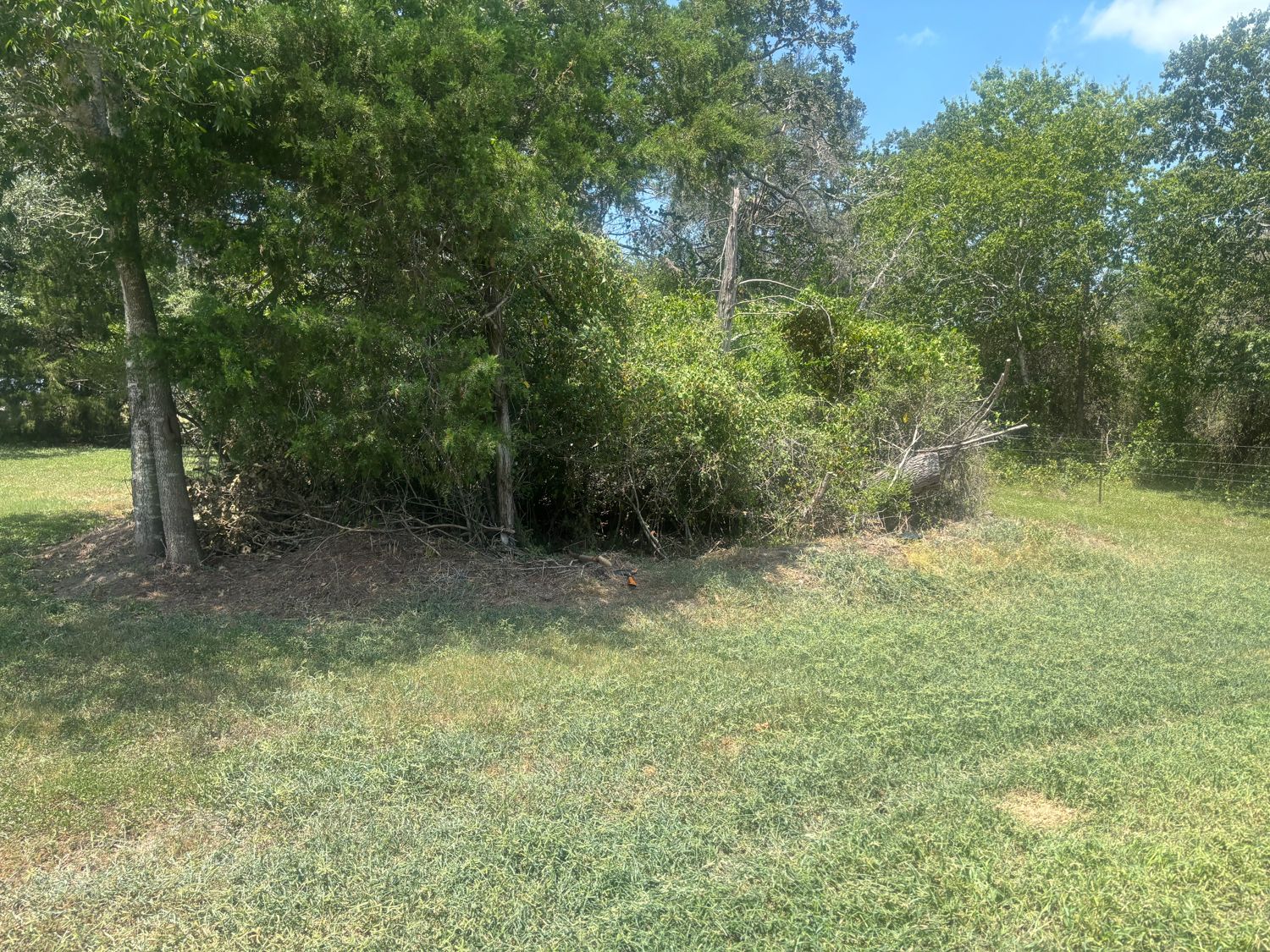 future-office-building-tree-clearing-site-prep